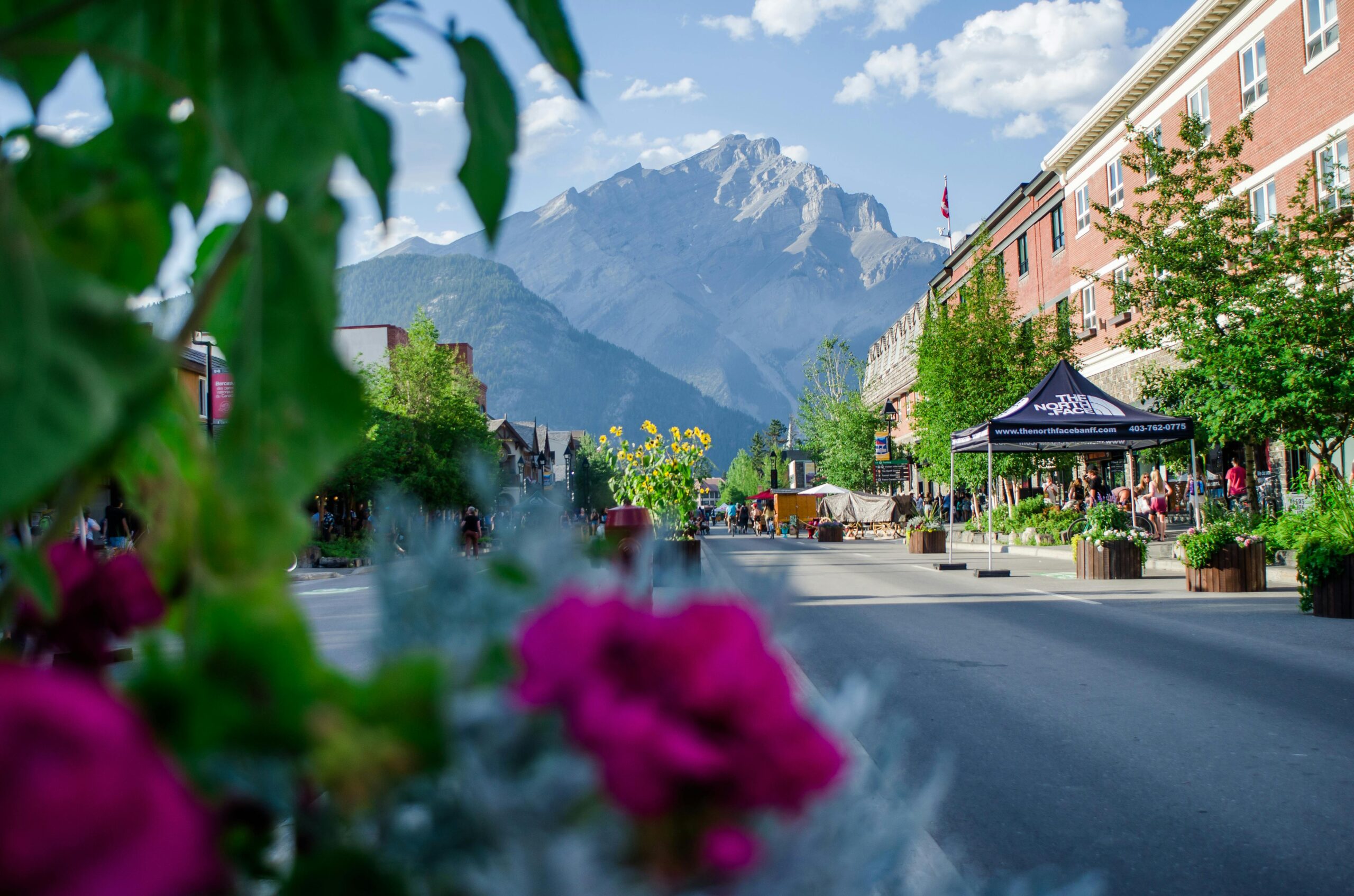 Banff in the spring flowers in the foreground, Banff city street and building with Canadian Rocky Mountains in the background