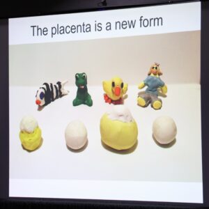Speaker's slide shows humorous depictions of the placenta in the form of clay figures.