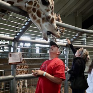 Perinatal researcher participates in giraffe feeding event while attending scientific annual meeting.