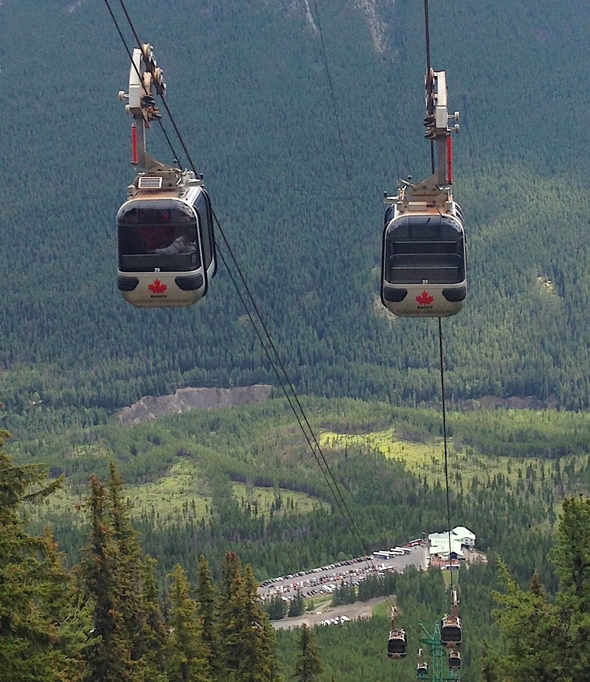 gondolas with pine tree and mountain landscape
