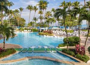 poolside view with palm trees, lounge chairs, and ocean in the background